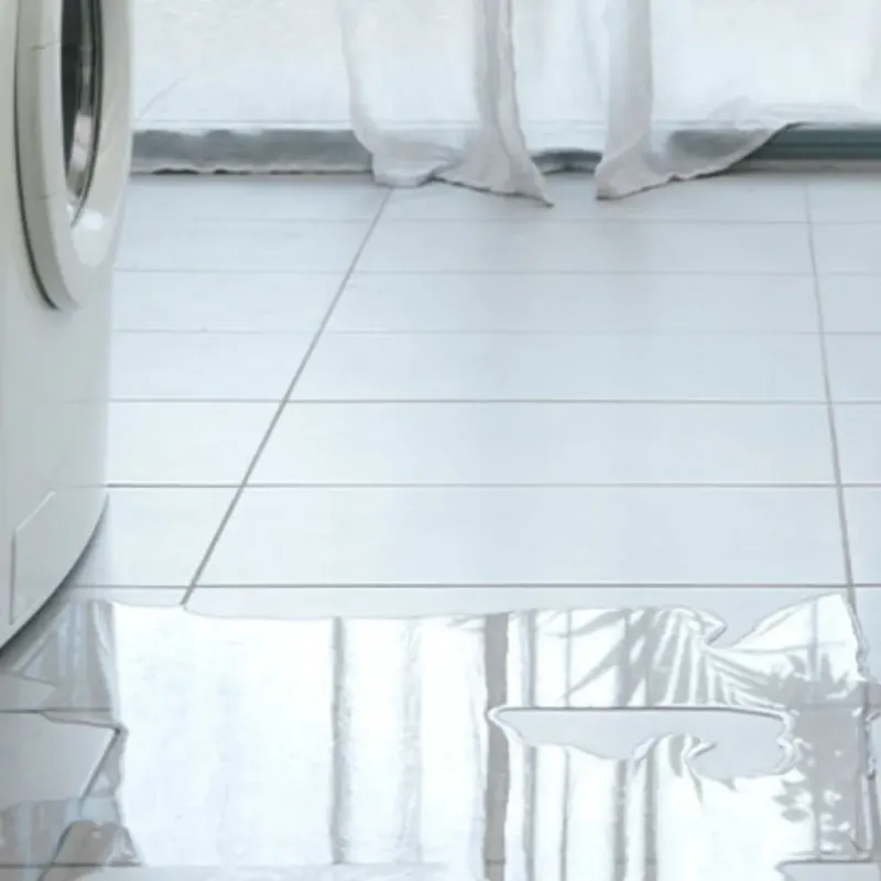 Appliance Leak Cleanup in Greenwood, LA