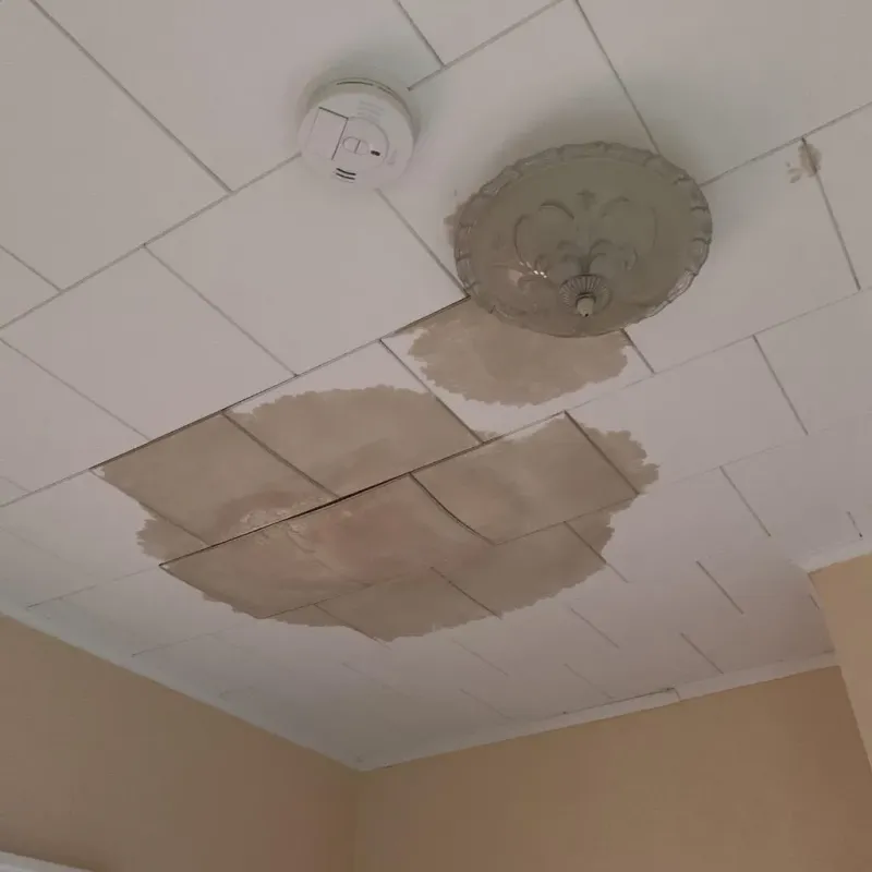 Ceiling Water Damage Repair in Greenwood, LA